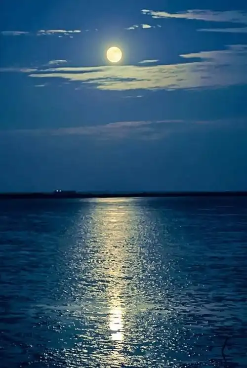 【听】美文 | 浸在夜色里