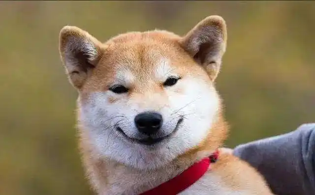 睡前看到李云迪嫖娼被抓,这些人做梦都会笑醒(第445回)_媒玩儿-商业新