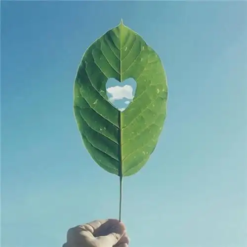 高清能带来好运的微信头像大全2021图片