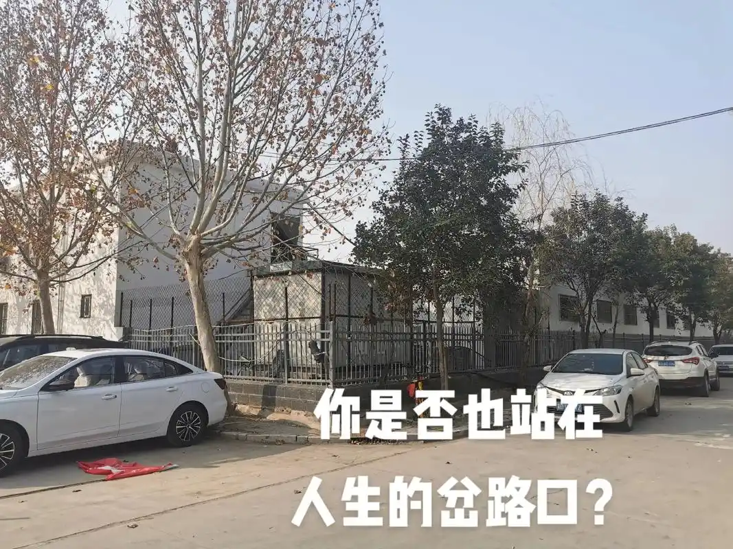 抖音图文来了 #选择大于努力  人生道路上的岔路口!选择大 - 抖音