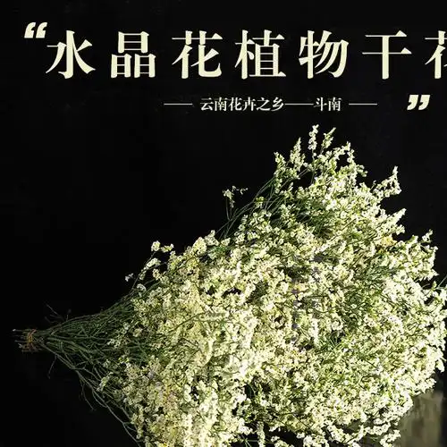 云南散装水晶花干花批发 产地直销纯天然风干水晶草永生花花束图片