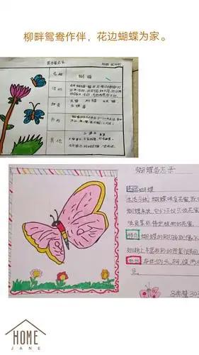 特别的课堂,别具一格的昆虫备忘录