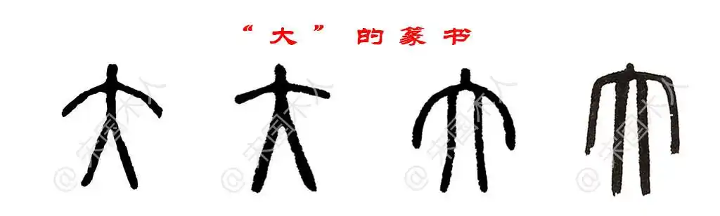 大:汉字的起源与演变(小学一年级语文生字 第74集)