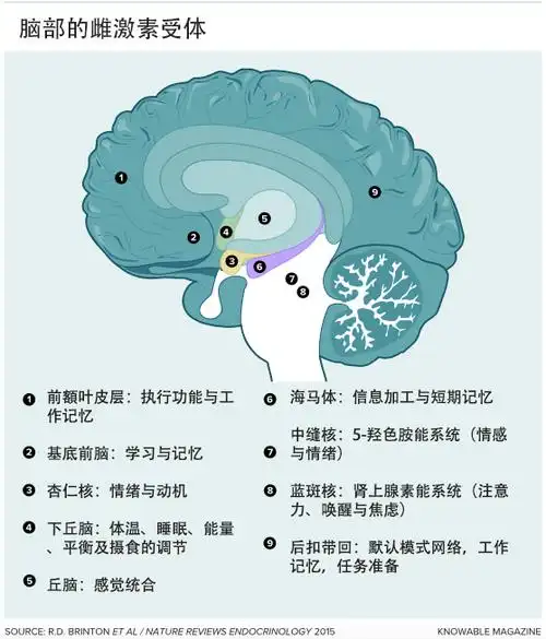 "伯德就属于这一群体.