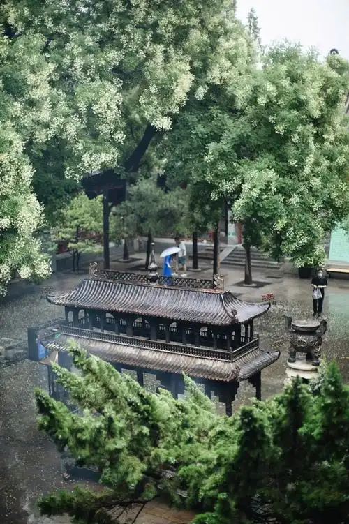 北京中产的心里话白云观都知道