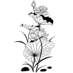 简约 span class=h>客厅 /span>手绘中式水墨荷花装饰 span class=h>