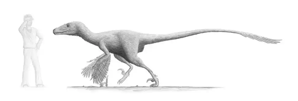 p>犹他盗龙(属名:utahraptor)又名犹他龙,是 a href="#" data-lemma