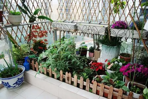 家庭阳台种菜种植智能化