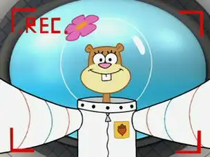 p>珊迪·奇克斯(英文名称:sandy cheeks)是美国动画片《 a target="