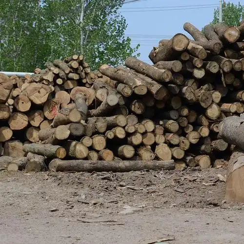 泡桐木威尼斯百叶窗板条