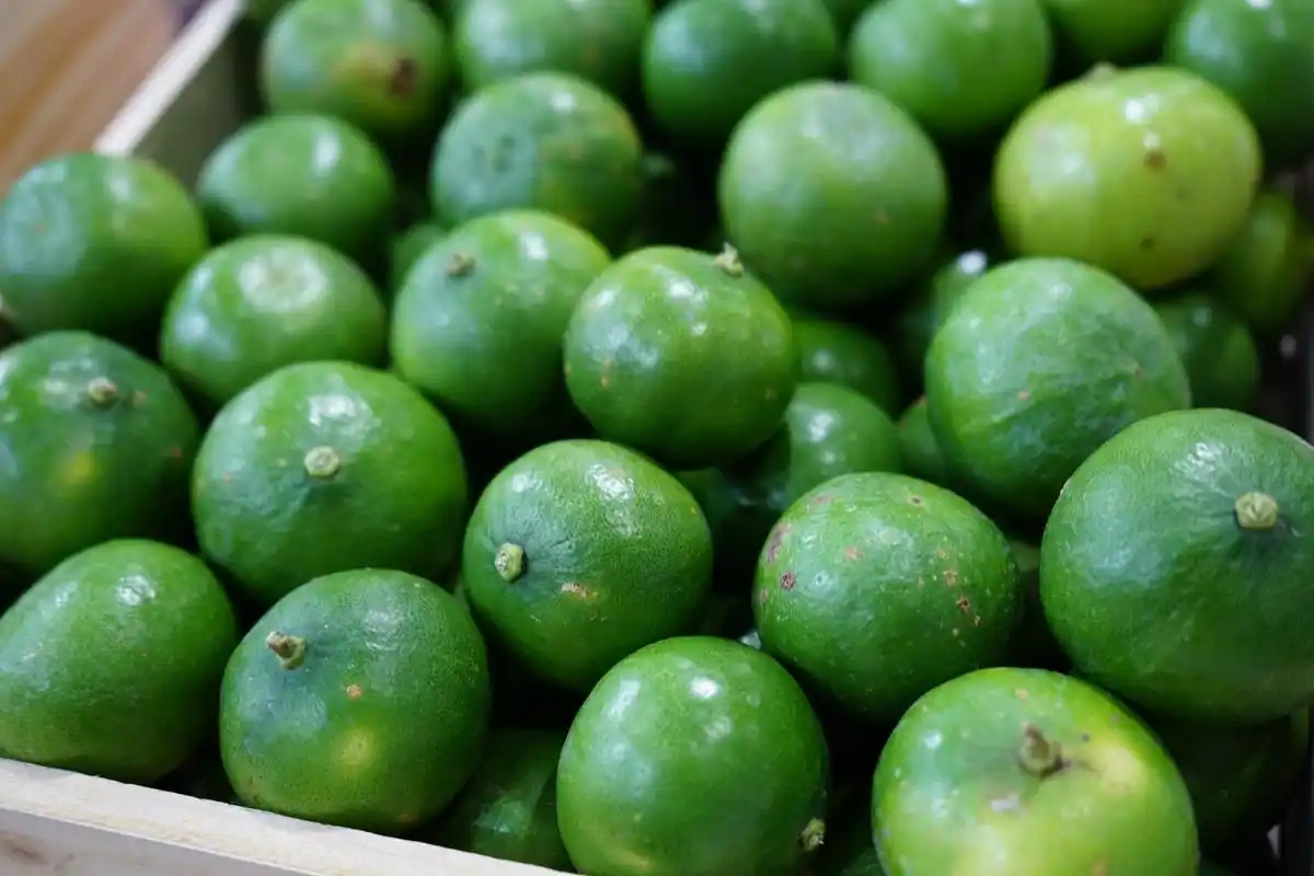 小青桔,一种小巧玲珑,鲜美可口的水果,因其小巧的外形和独特的酸爽