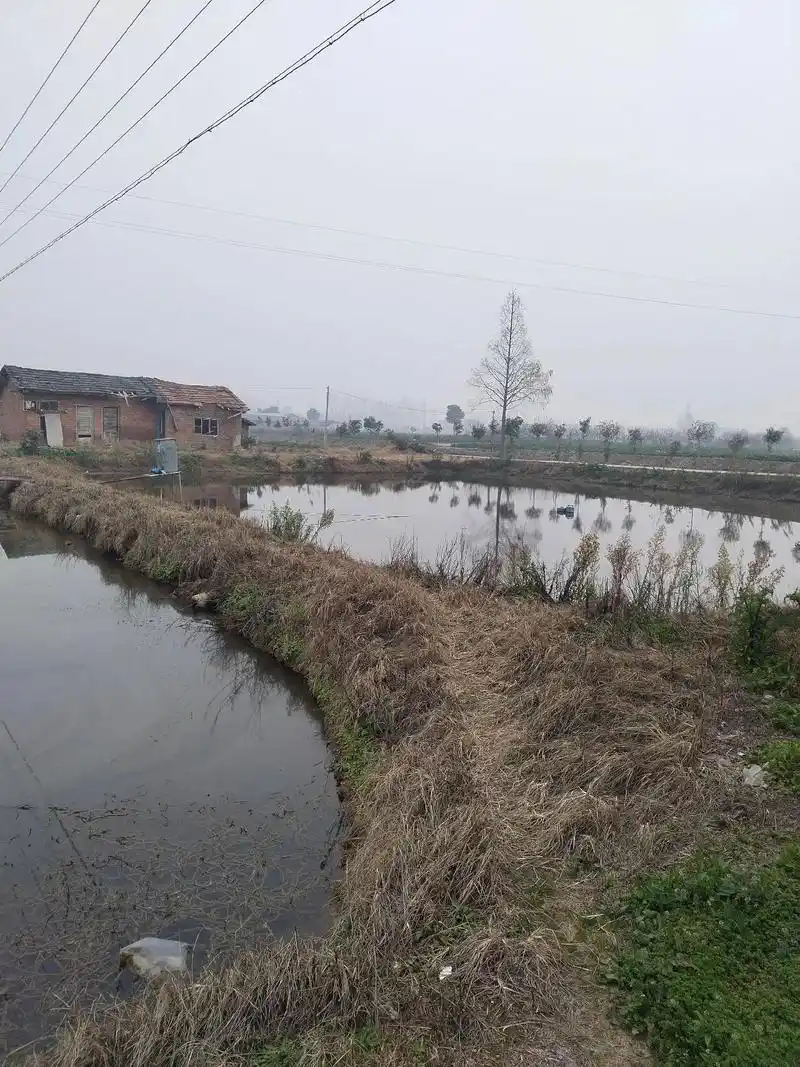 今天在乡村处理一起农村土地承包经营权纠纷,在乡村二级政府部门 - 抖