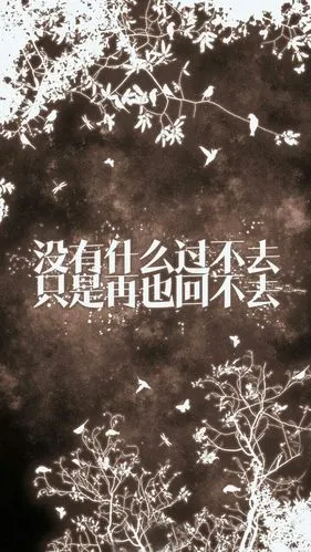 【文字】没有什么过不去只是再也回不去