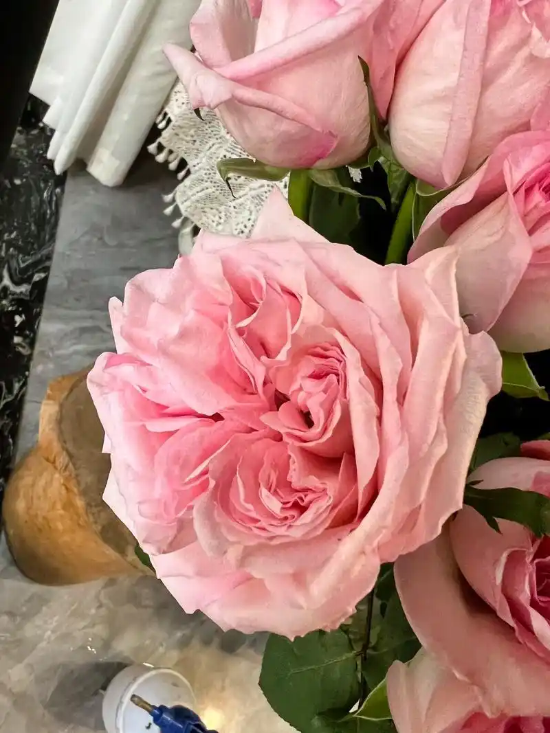 33朵红玫瑰满天星皇冠仅158.每一朵鲜花都有其独特的花语, - 抖音