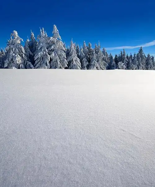 费希特尔伯格的冬季雪景,云杉覆盖着雪,闪闪发光的雪晶体,靠近