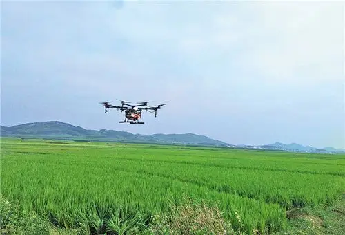 植保无人机统防统治 有效遏制病虫害