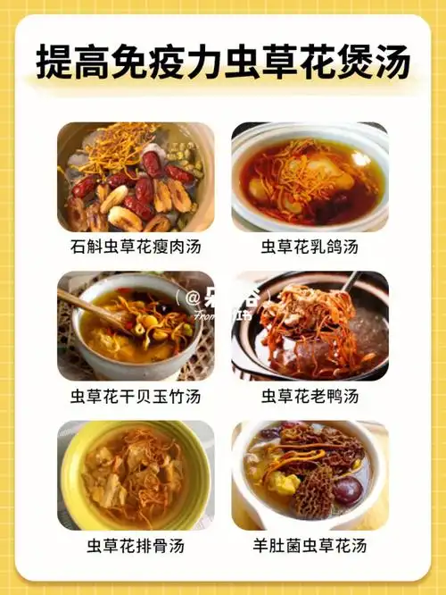 提高免疫力虫草花煲汤做法75赶紧收藏60