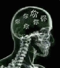 出来交房租了,你住在我心里这么久「土味情话表情包」