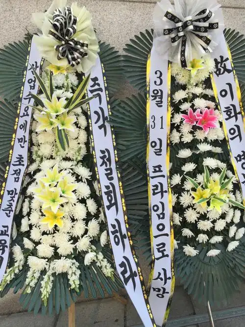 穿梭在如云的美女美景里,一直感慨,"在这里上学真有