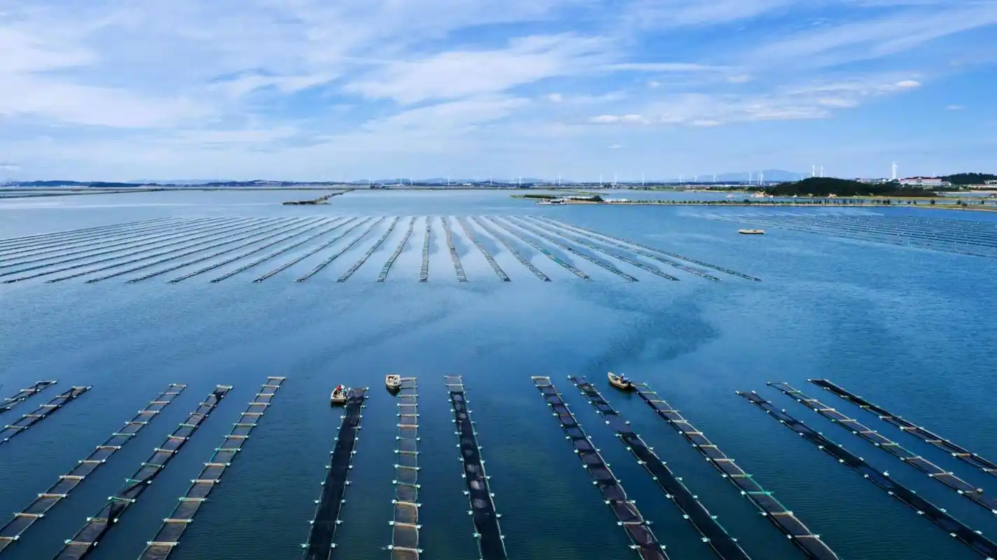 组图|山东荣成:天青水碧生态优 海参养殖助增收