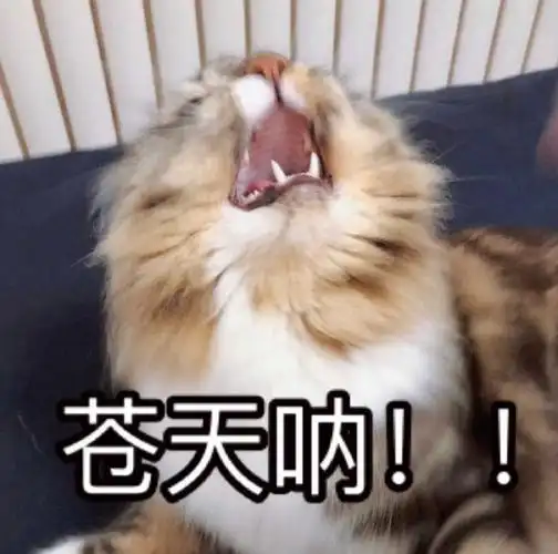 是不是疯了他的手手他的乖乖指甲我都觉得好可爱好乖巧06