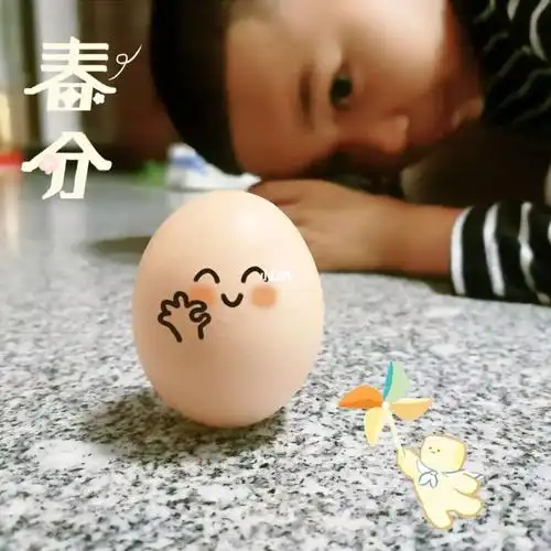 春分立蛋好玩