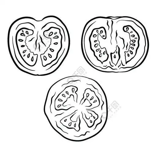 切一个西红柿矢量轮廓图物体与背景分离菜单插图和您