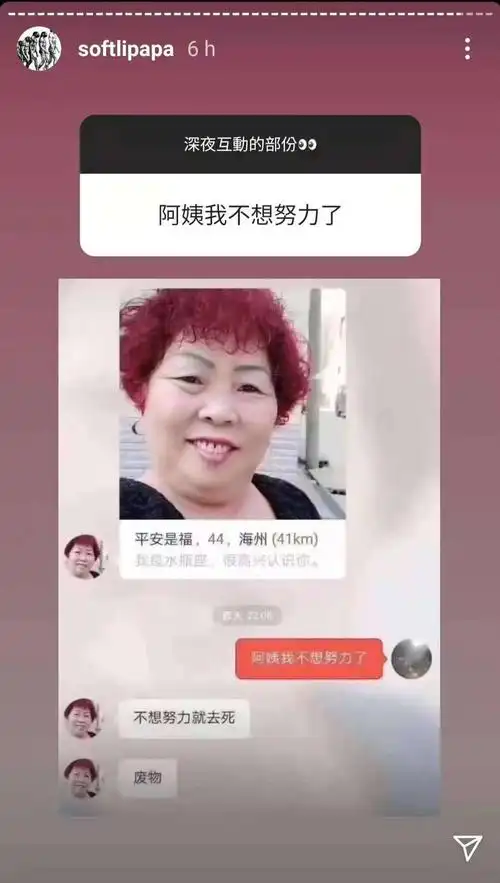阿姨我不想努力了