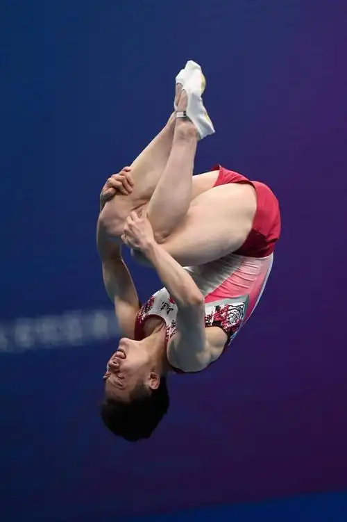 蹦床——男子个人决赛赛况