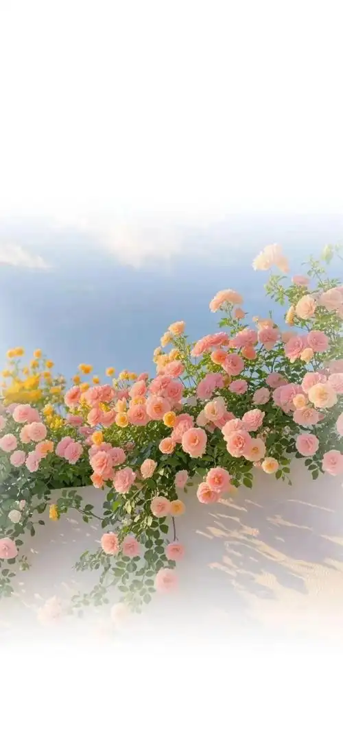 渐变治愈系锁屏壁纸