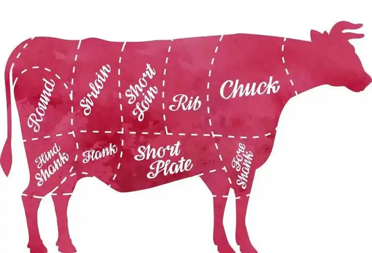 为什么牛是cow,而牛肉却是beef