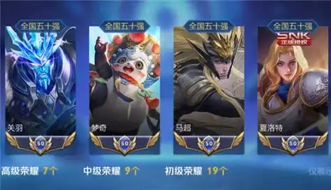 王者荣耀大国标和小国标有什么区别大小国标区别详解