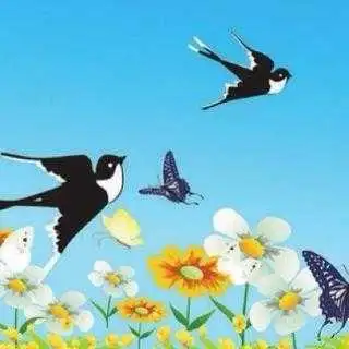 小燕子微信头像