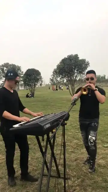 鹏仔吹唢呐《乡村爱情》主题曲