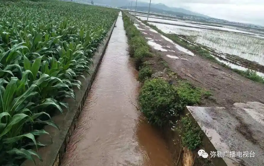 巡检司镇,及时清沟泄洪. ↓↓五山乡组织党员清理排水沟.