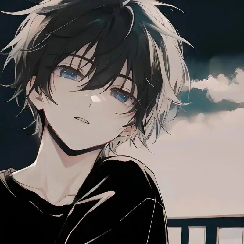 动漫男生头像  希望你满载喜悦,前路坦荡光明.