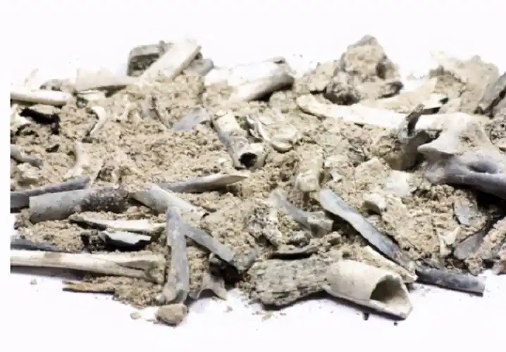 每个人骨灰都是独一无二的已故亲人的骨灰如何处置为好