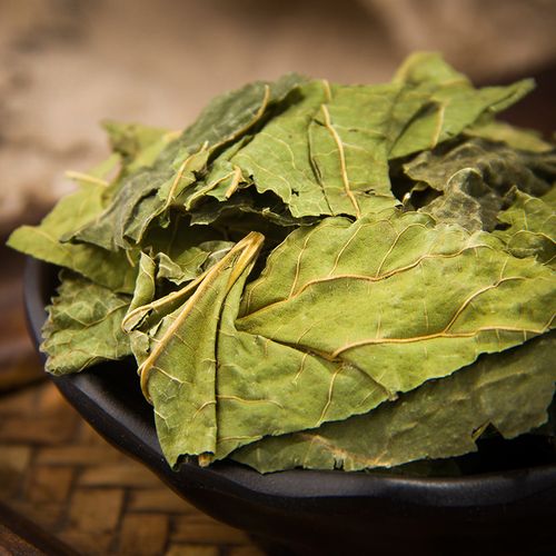 桑叶包邮新鲜晒干纯天然500g正品特级中药材其他药食同源食品