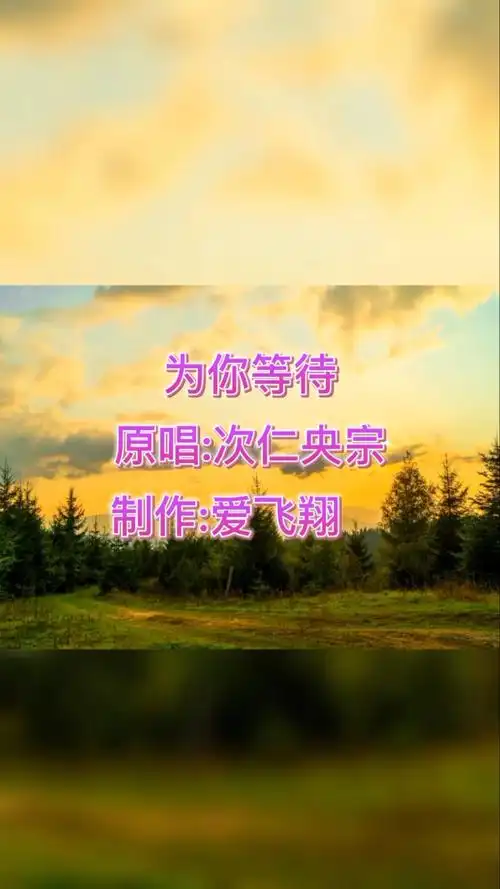次仁央宗一首《为你等待》经典怀旧老歌,好听极了
