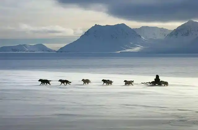 楚科奇半岛,楚科奇半岛气候(俄罗斯楚科奇自治区)