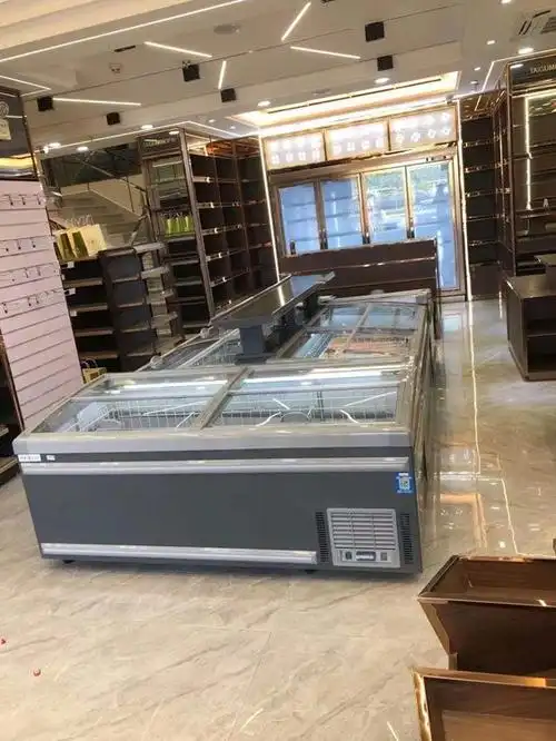 柜冰柜商用饺子肉丸保鲜急冻柜冷柜鲜肉猪肉冷藏冷冻展示柜冰箱岛柜