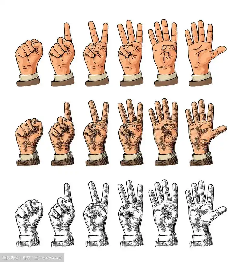 一组从0数到的手势