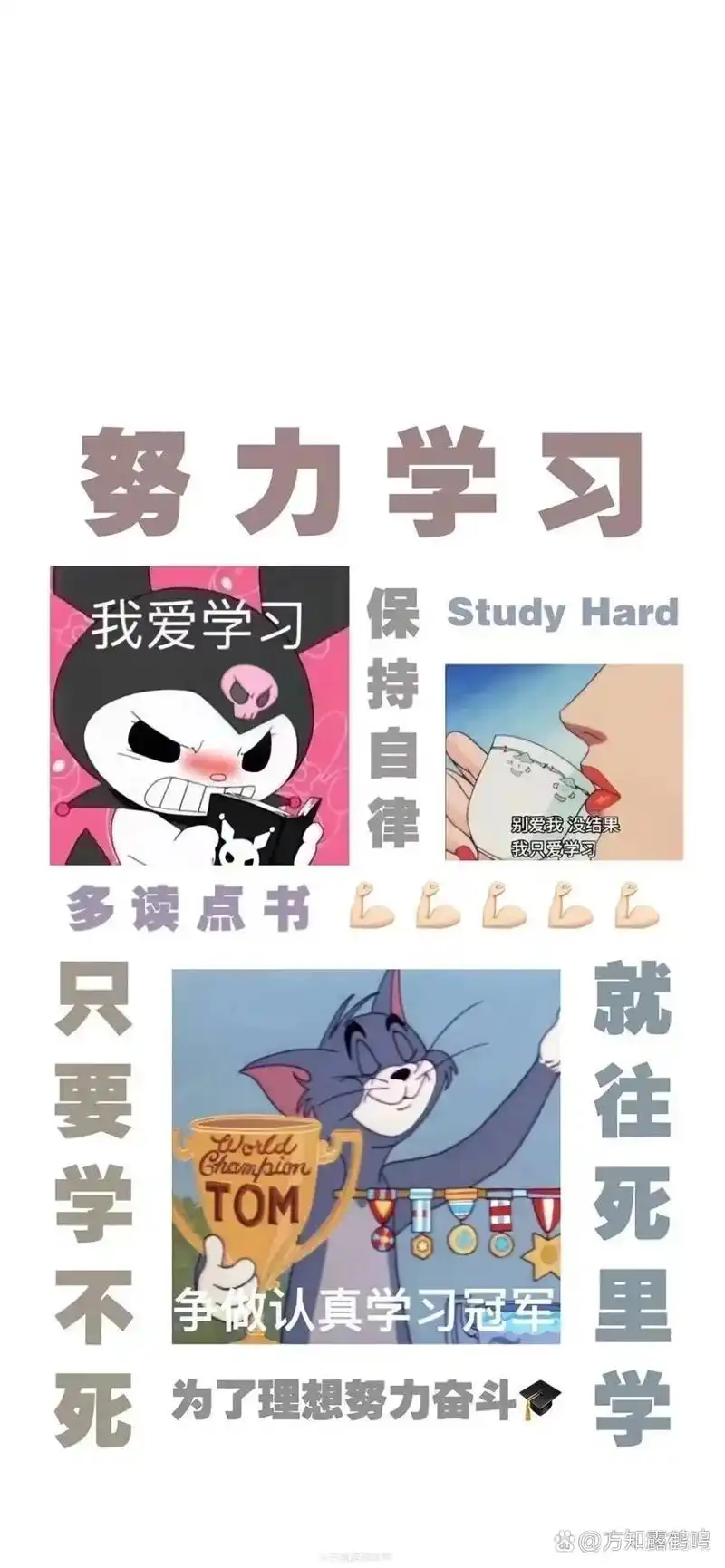 自律壁纸第三弹!过来自取!