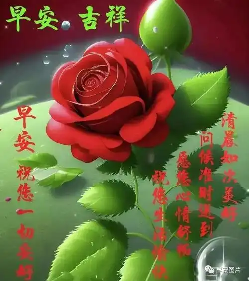 早安图片大全早上好问候语动态表情图片