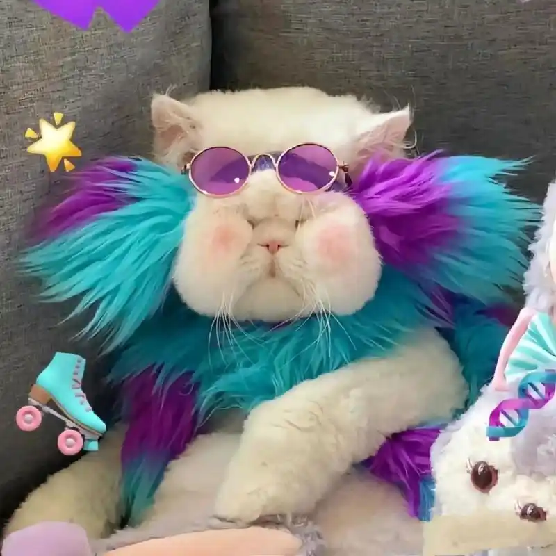 沙雕女才会用的搞笑猫咪头像⊙ω