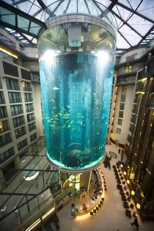 世界最大圆柱水族箱开业半年裂成碎片制造商介入调查