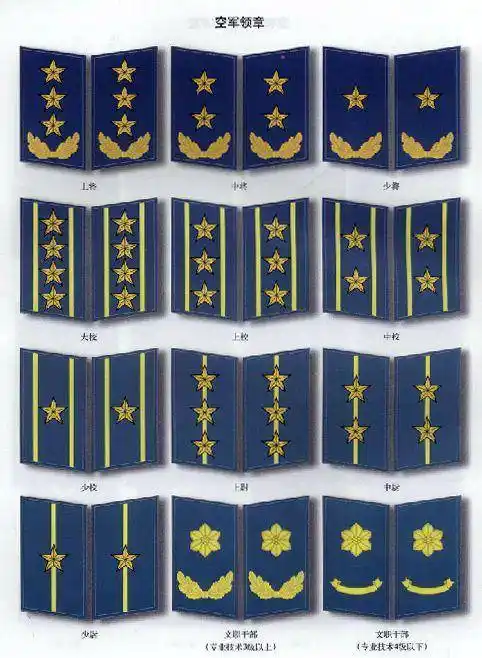 空军胸标(胸章)中国人民解放军胸章空军成立之初到1955年实行军衔制时