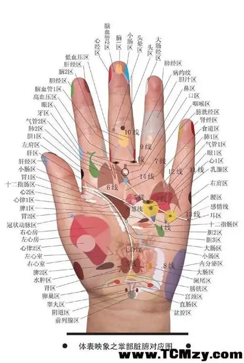 2011-4-7日晚11;32时分又发生里氏7.4级地震(2011-04-08 08:51:15)