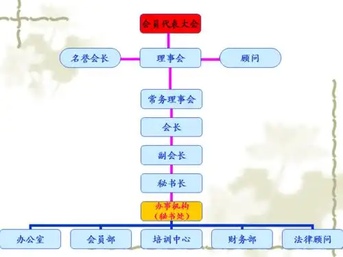 协会组织架构图