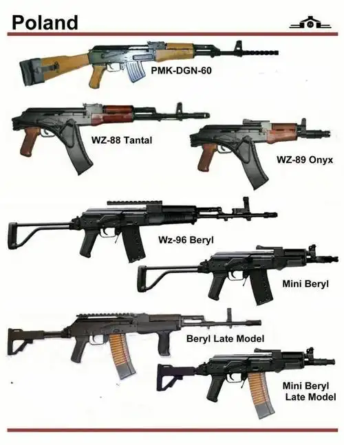 世界枪械识别图鉴大全